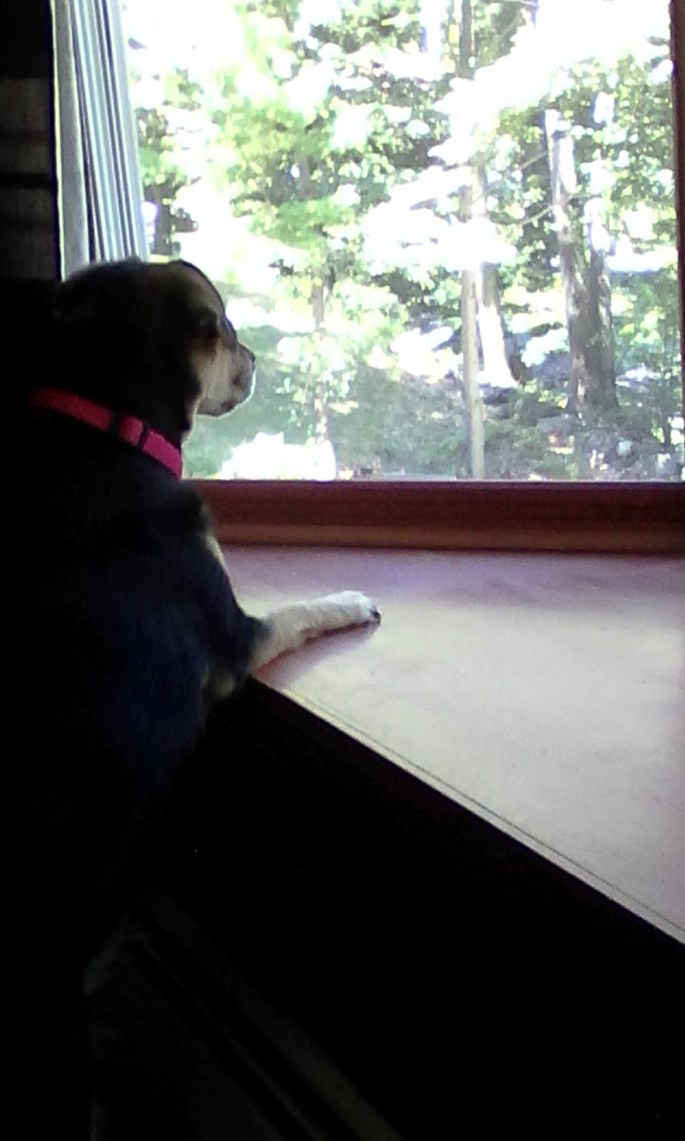 keelaa looking out window