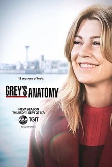 220px-Grey27s_Anatomy_season_15_poster